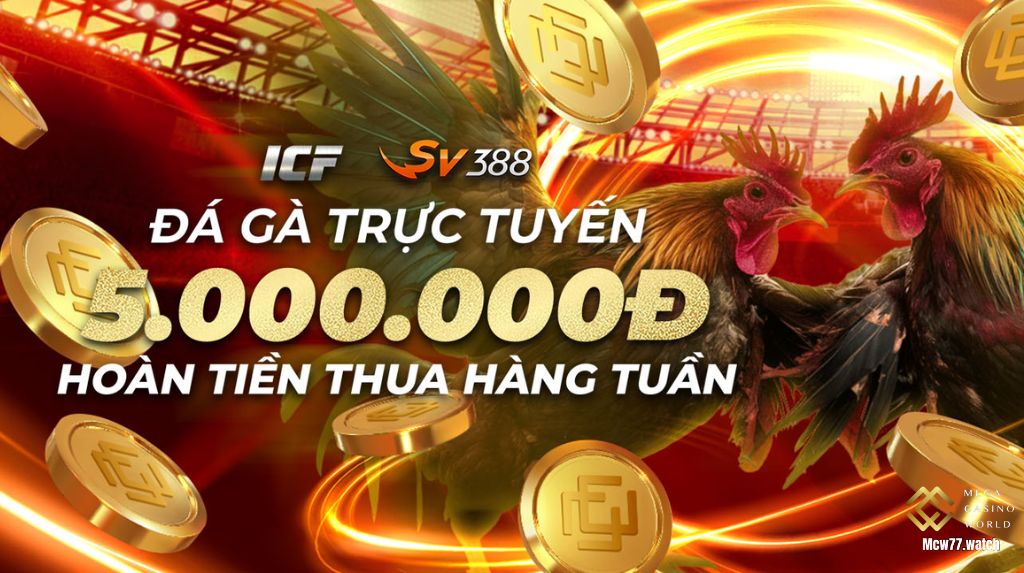 Điều kiện và lưu ý khi tham gia khuyến mãi MCW77
