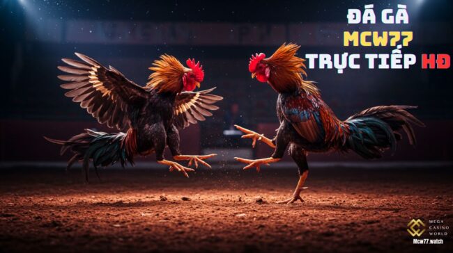 Đá Gà MCW77