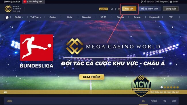 Cách Nạp Tiền Thông Qua Zalopay